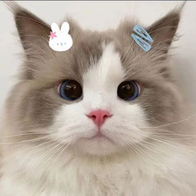 ہمایوں جعفر avatar