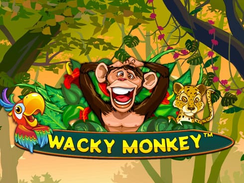 ویکی منکی screenshot